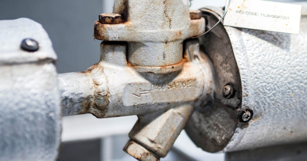 Everything You Need To Know About Steam Traps