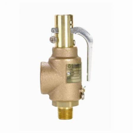 Apollo (29202A100) VLV,REL,1/2"X1",D ORI,29SER, 100PSI,V STEAM