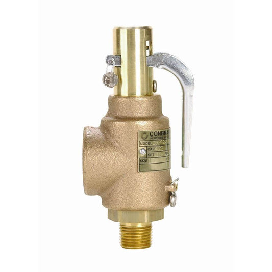 Apollo (29302A100) VLV,REL,3/4",D ORI,29SER, 100PSI,V STEAM  (Copy)