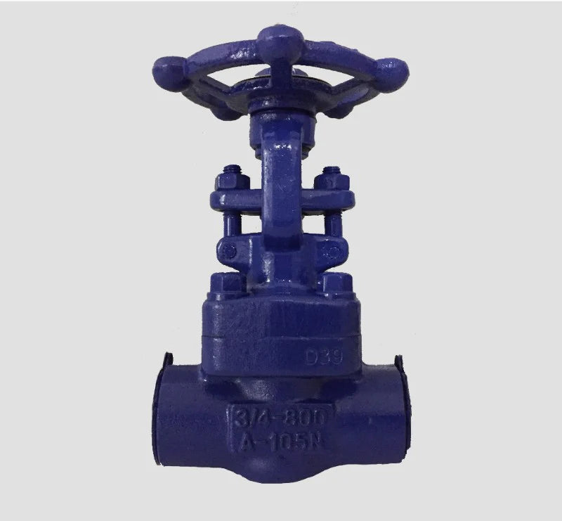 Spirax Sarco Gate Valve 1/2" NPT RGA004NP15A1V1MHBBOS